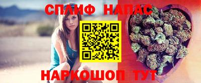 спиды Шелехов