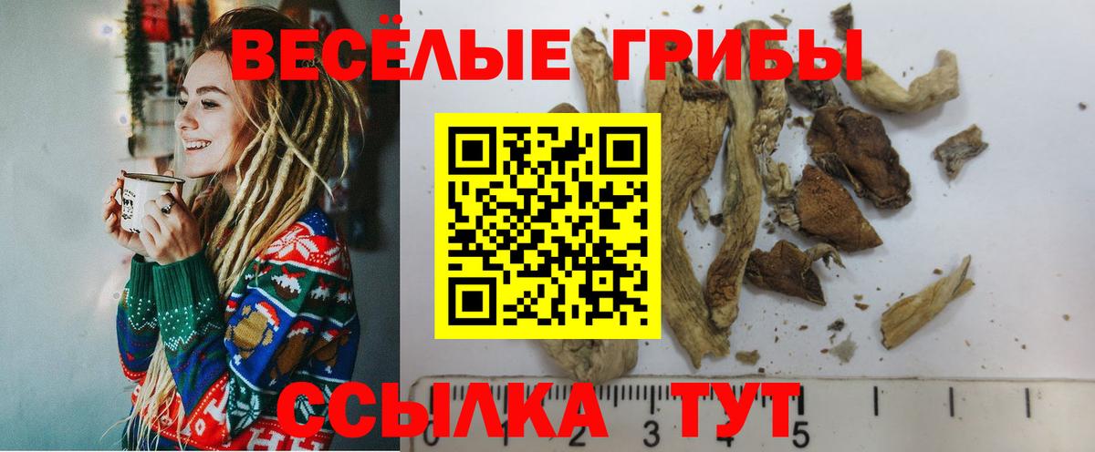 Псилоцибиновые грибы GOLDEN TEACHER  Вход с VPN  Большой Камень 