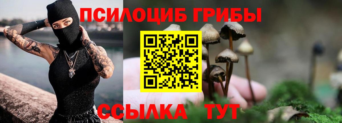 Псилоцибиновые грибы Psilocybine cubensis Большой Камень