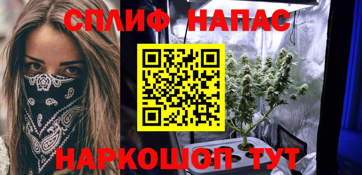 Канабис сатива Большой Камень